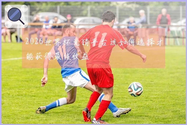 2026世界杯竞猜平台该如何选择才能获得最佳收益