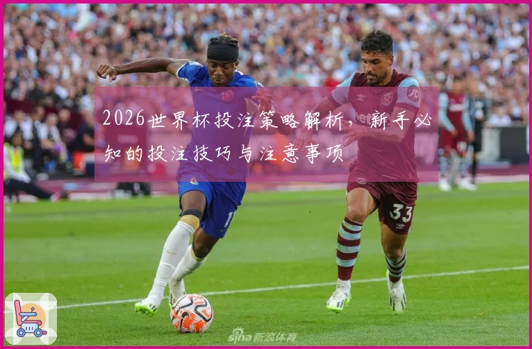 2026世界杯投注策略解析，新手必知的投注技巧与注意事项