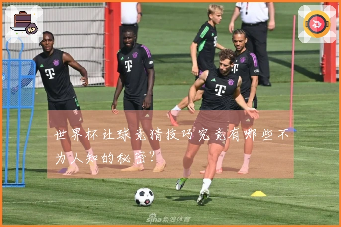 世界杯让球竞猜技巧究竟有哪些不为人知的秘密？