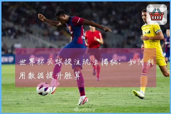 世界杯买球投注玩法揭秘：如何利用数据提升胜算