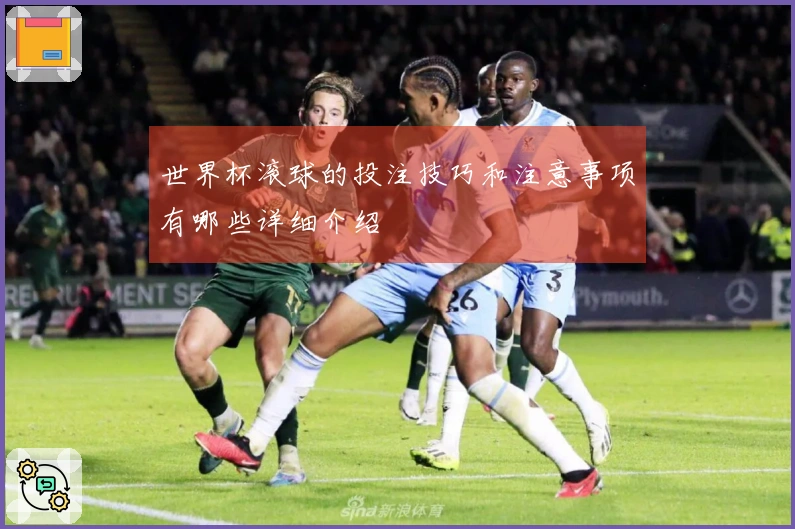 世界杯滚球的投注技巧和注意事项有哪些详细介绍