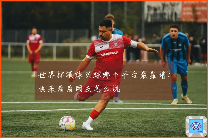 世界杯滚球买球哪个平台最靠谱？快来看看网友怎么说