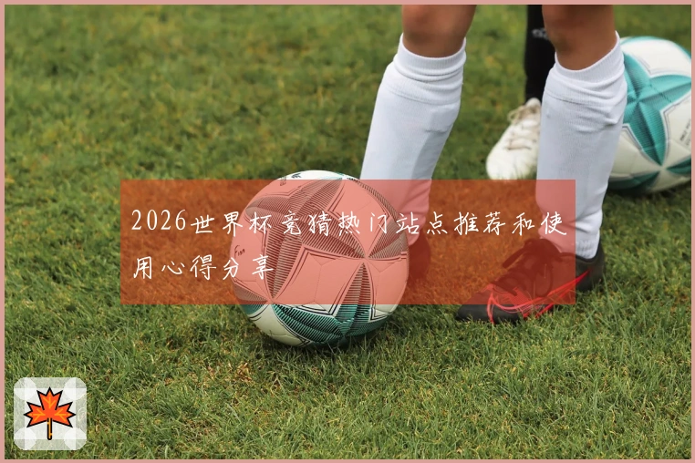2026世界杯竞猜热门站点推荐和使用心得分享