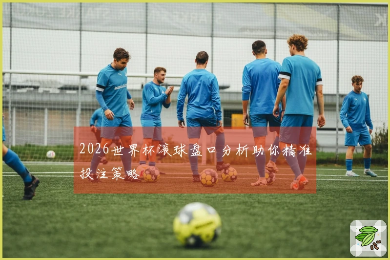2026世界杯滚球盘口分析助你精准投注策略