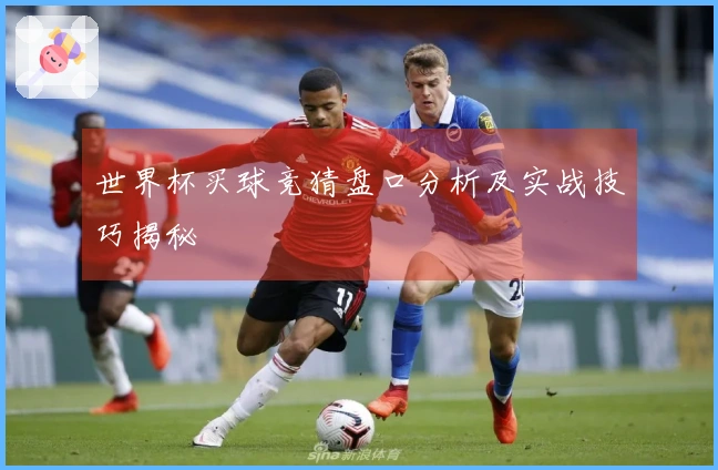 世界杯买球竞猜盘口分析及实战技巧揭秘