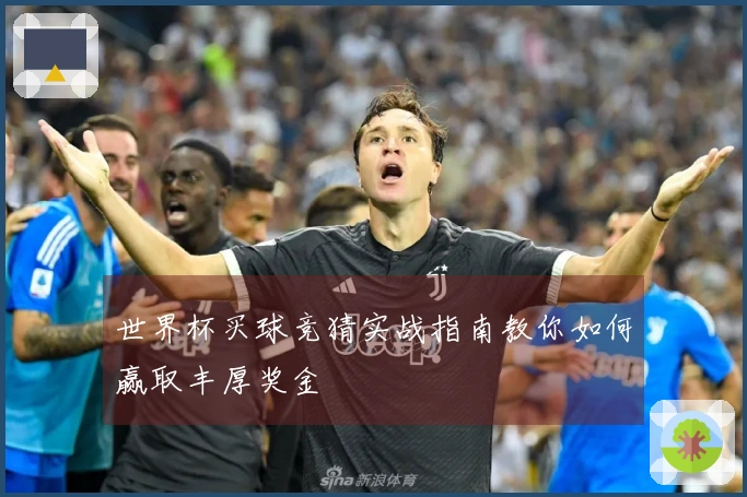 世界杯买球竞猜实战指南教你如何赢取丰厚奖金