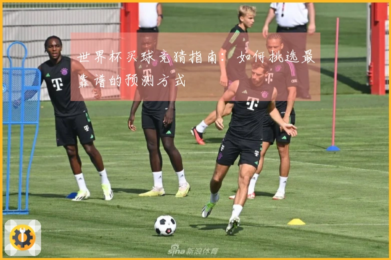 世界杯买球竞猜指南：如何挑选最靠谱的预测方式