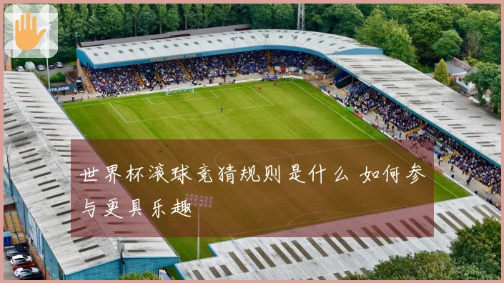 世界杯滚球竞猜规则是什么 如何参与更具乐趣