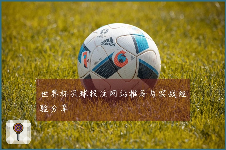 世界杯买球投注网站推荐与实战经验分享