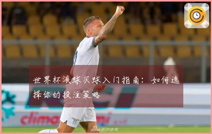世界杯滚球买球入门指南：如何选择你的投注策略