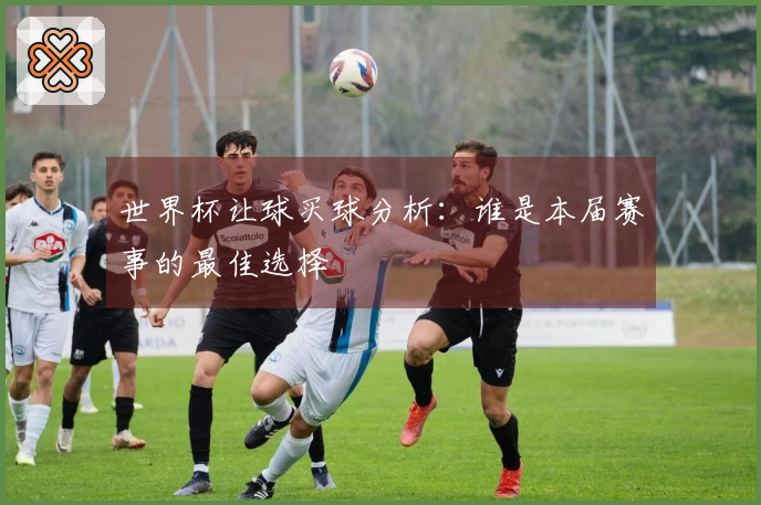 世界杯让球买球分析：谁是本届赛事的最佳选择
