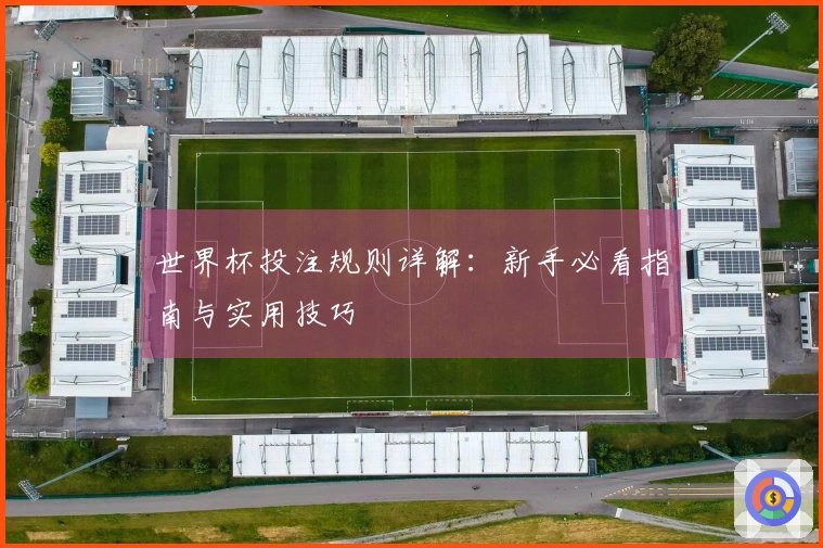 世界杯投注规则详解：新手必看指南与实用技巧