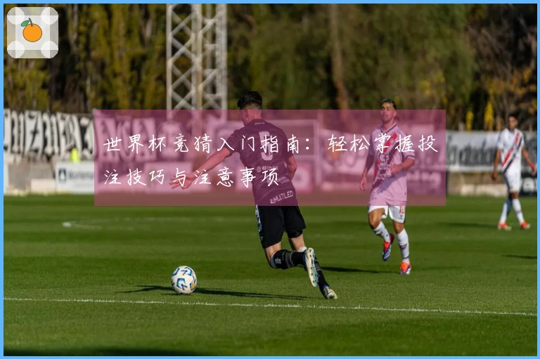 世界杯竞猜入门指南：轻松掌握投注技巧与注意事项