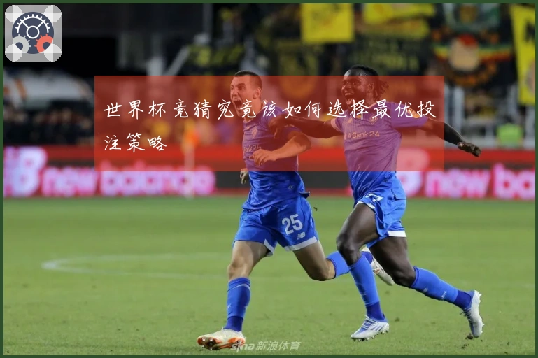 世界杯竞猜究竟该如何选择最优投注策略