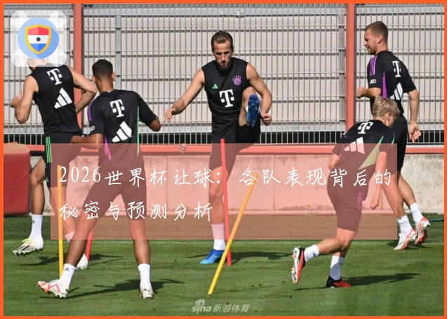 2026世界杯让球：各队表现背后的秘密与预测分析