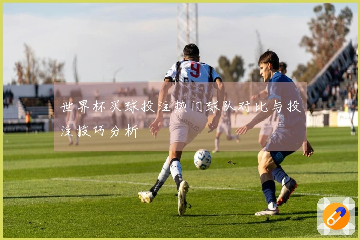 世界杯买球投注热门球队对比与投注技巧分析