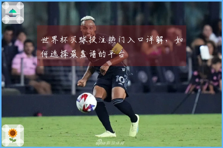 世界杯买球投注热门入口详解，如何选择最靠谱的平台