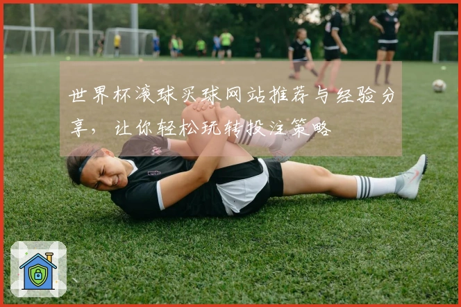 世界杯滚球买球网站推荐与经验分享,让你轻松玩转投注策略
